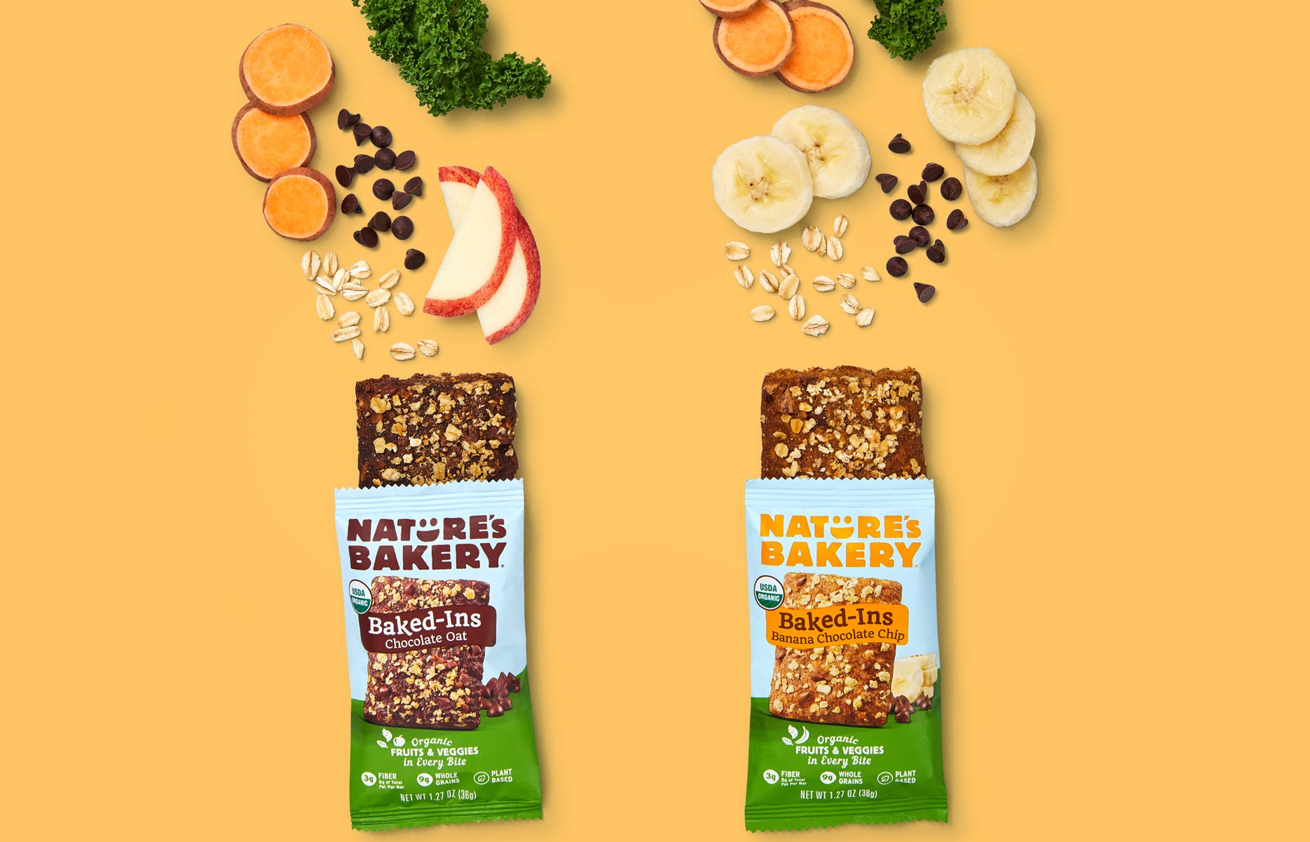 Natures Bakery Baked-Ins Bars